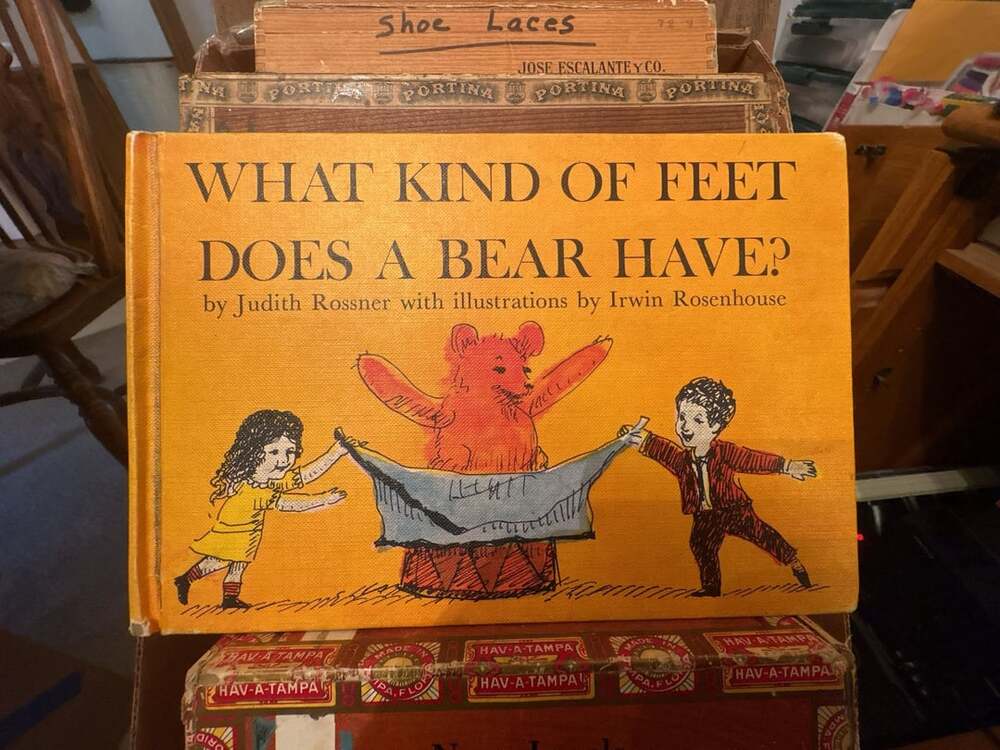 What Kind Of Feet Does A Bear Have? Vintage 1963 Hardcover Childrens Book